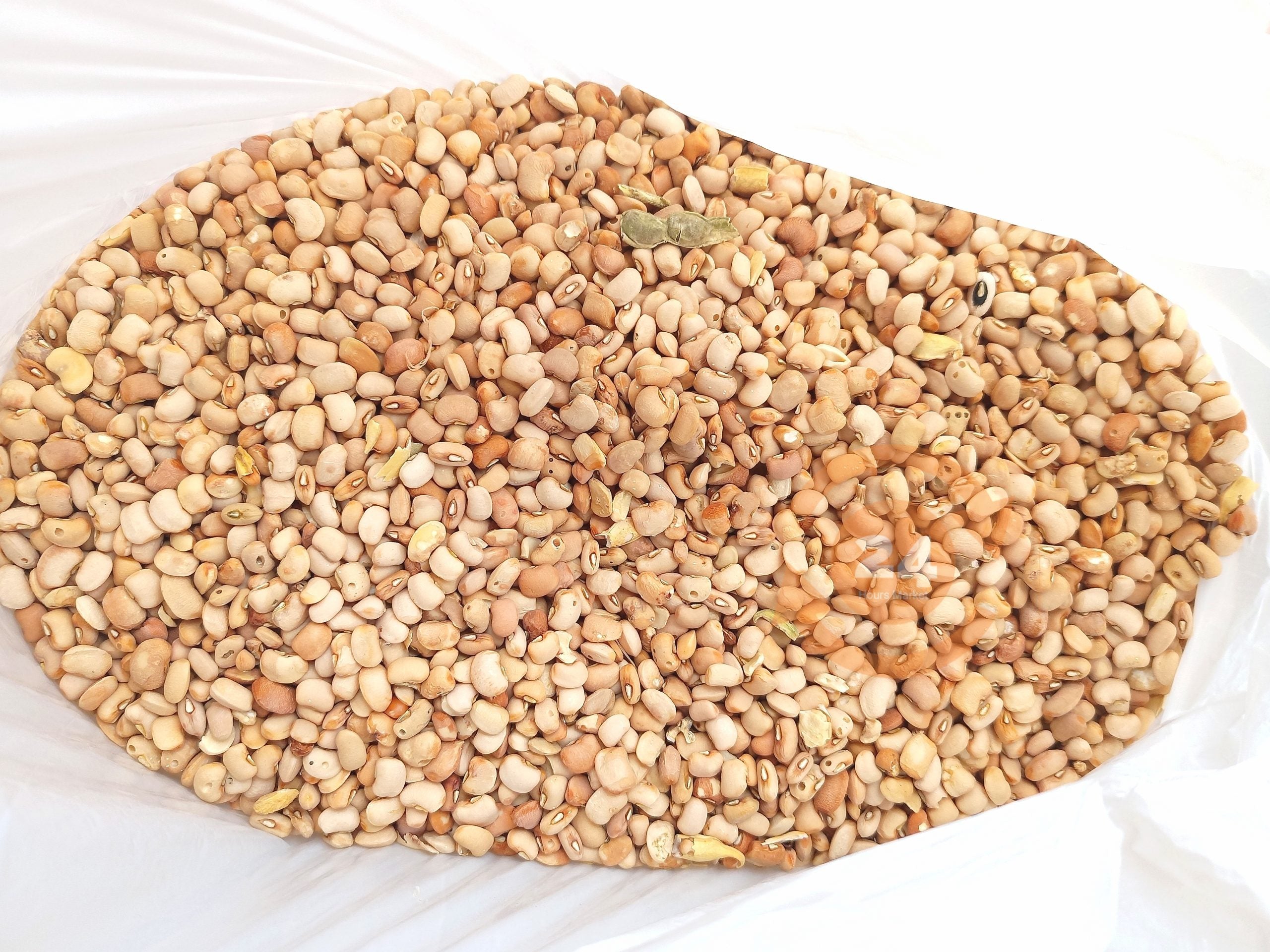 Beans (Honey Beans) - 5KG