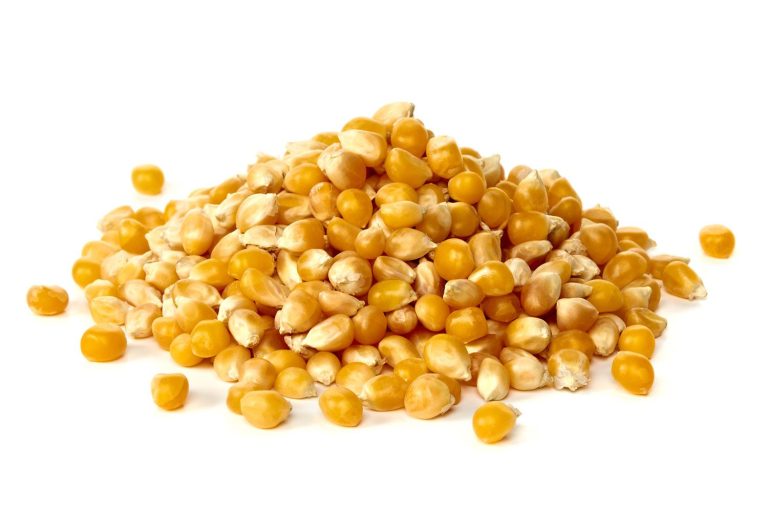 Dry Yellow Corn - 5KG