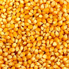 Dry Yellow Corn - 5KG